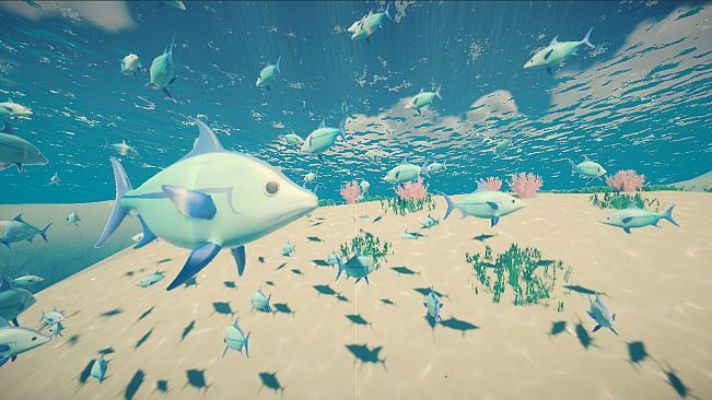 My Little Ocean