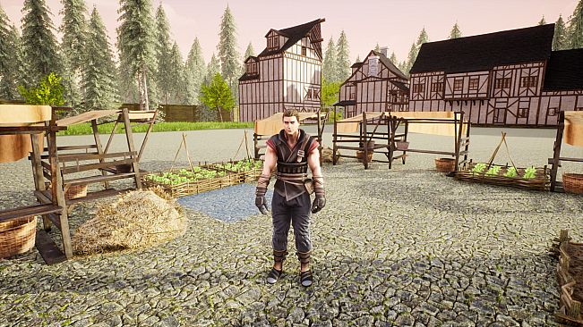 Push The Crate: Remastered Edition