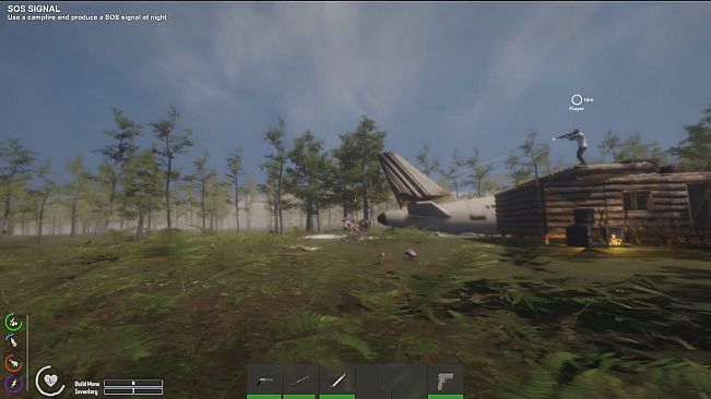 The Seekers: Survival