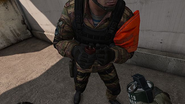 S.K.I.L.L. - Special Force 2 - Recruit Pack