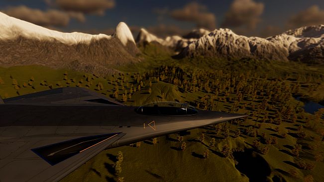 FlyFuture