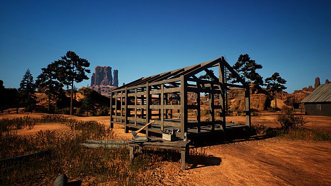 Cowboy Life Simulator