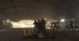 Street Warriors Online: Police & Bikers (Skin Pack)