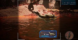 Morels: Out of this World