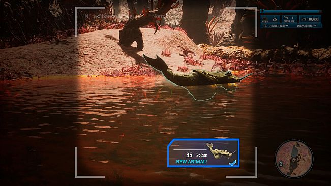 Morels: Out of this World