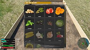 Russian Village Simulator