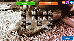 OG Memory: Kira Maus