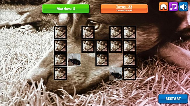 OG Memory: Kira Maus