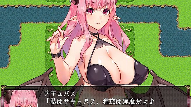 Succubus in Wonderland - Additional Adult Story & Graphics DLC Vol.1