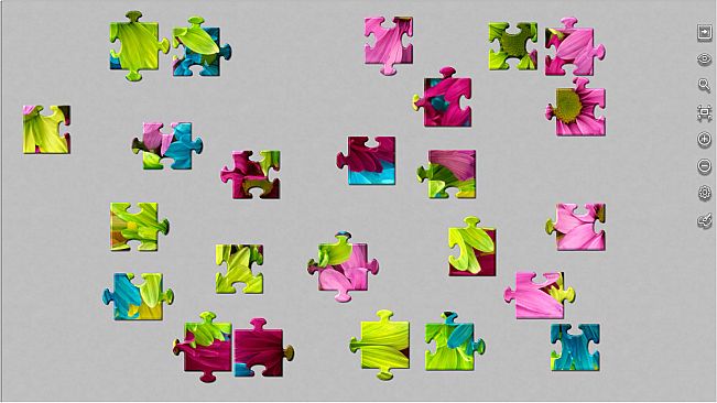 Master of Pieces  Jigsaw Puzzle