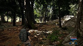 Cypress Inheritance: The Beginning