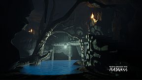 Noah's Descent into Madness