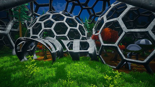 My Money Grows On Trees