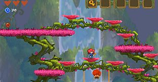 Potata: fairy flower