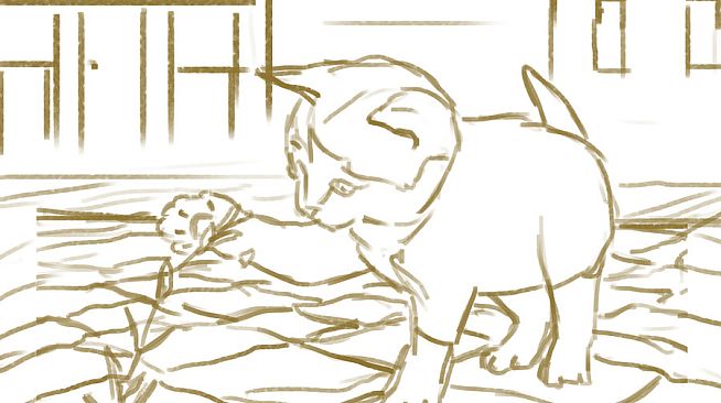 Cute Cats 3 - Digital Artbook + Bonus Videos