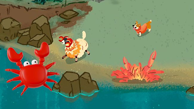 Into the Woolderness