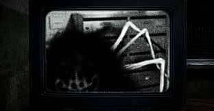 Midnight Watch