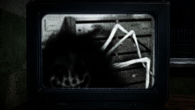 Midnight Watch