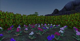 VR Zen Garden & ASMR Playground