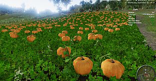 Professional Farmer: American Dream