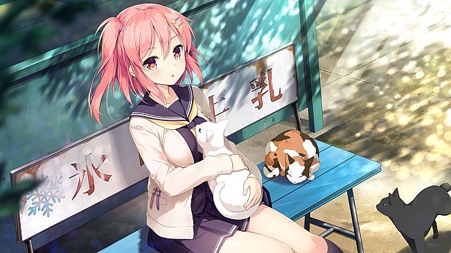 Koi x Shin Ai Kanojo