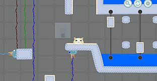 SlimeKitten