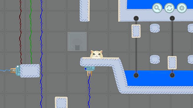 SlimeKitten