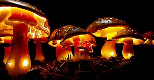 AI-VJ - Magic Forest Visuals