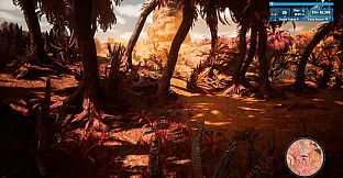 Morels: Out of this World