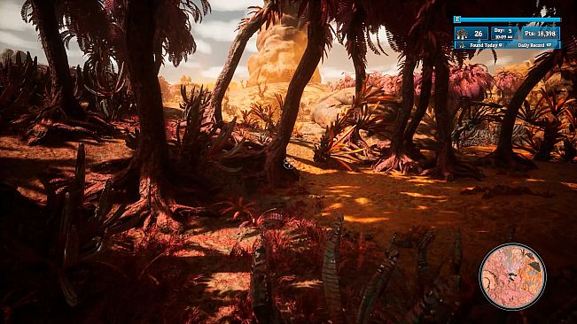 Morels: Out of this World