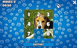 CatDog Puzzle
