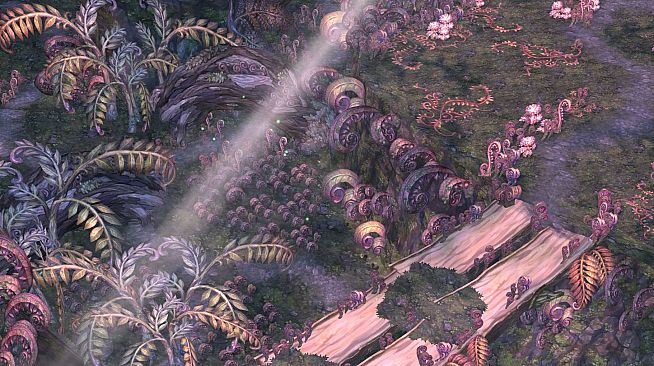 Tree of Savior - Veteran's Pack for EU Servers