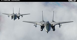 DCS: F-14A/B Tomcat by Heatblur Simulations
