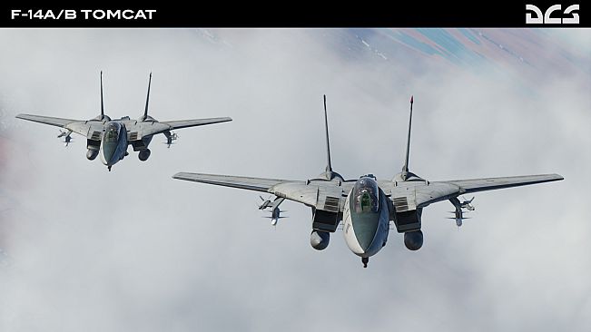 DCS: F-14A/B Tomcat by Heatblur Simulations