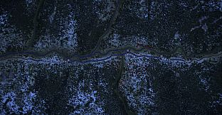 Carthage: Bellum Punicum