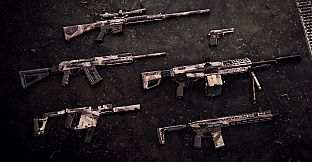 Insurgency: Sandstorm - Clear Sight Bundle