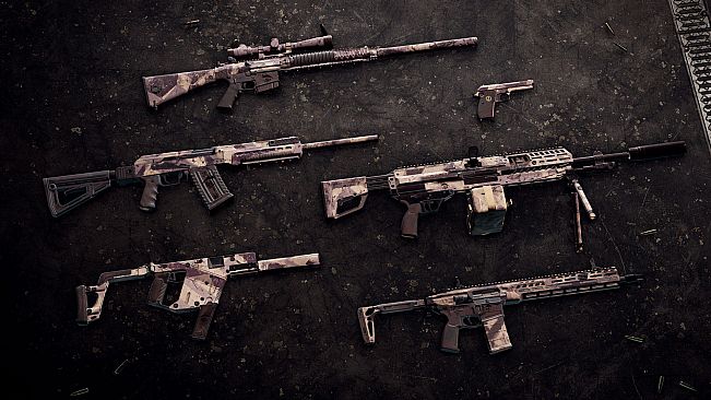 Insurgency: Sandstorm - Clear Sight Bundle