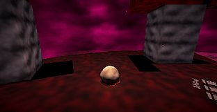 BALLSKIN