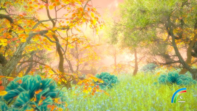 Hidden Treasures in the Forest of Dreams