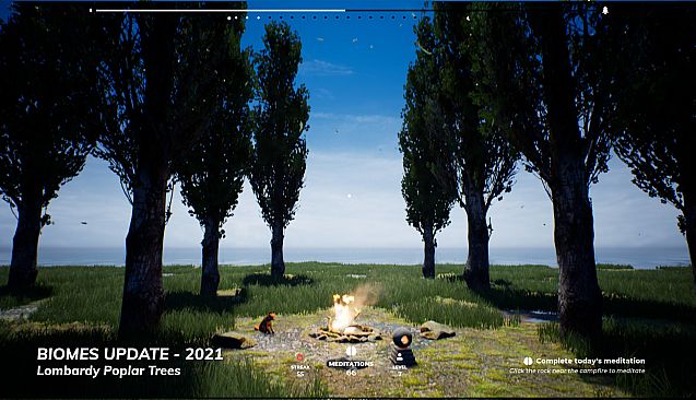 PLAYNE : The Meditation Game