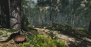 Mushroom Collector Simulator