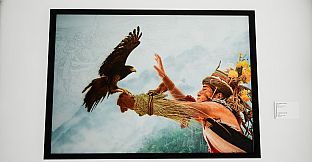 Pronovost Art Gallery