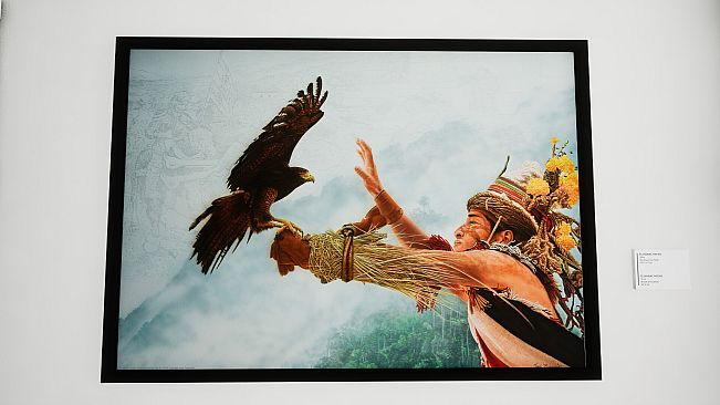 Pronovost Art Gallery