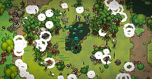 Nest Rivals
