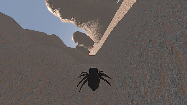 Spider Macro Survivors