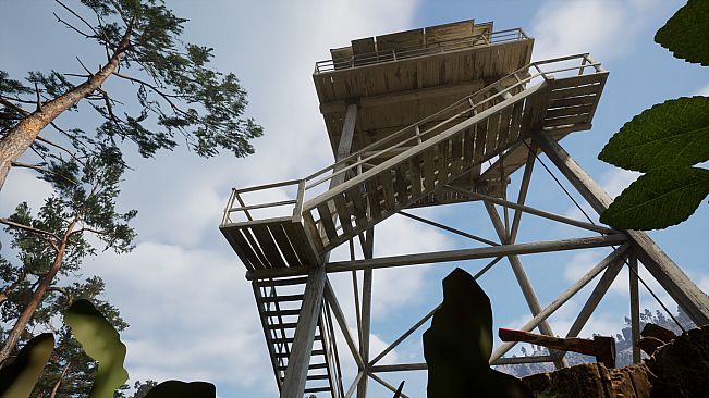 Yosemite Forest Ranger