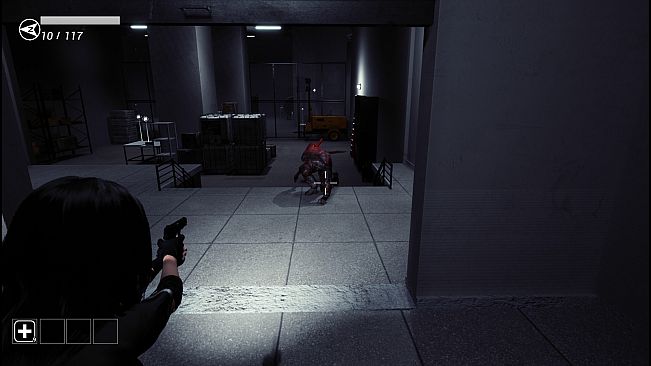 Anomalous Zone ███