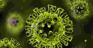 Afterlife Pharmaceuticals