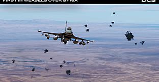 DCS: F-16C First in Weasels Over Syria Campaign by Ground Pounder Sims