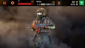 Striker Zone: Gun Games Online